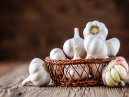 Fresh garlic bulbs in a basket