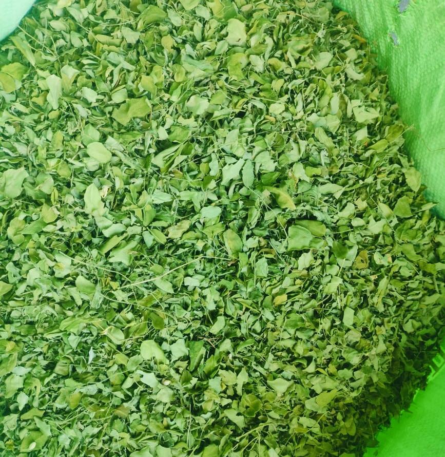 Aarohi Farm processing facility