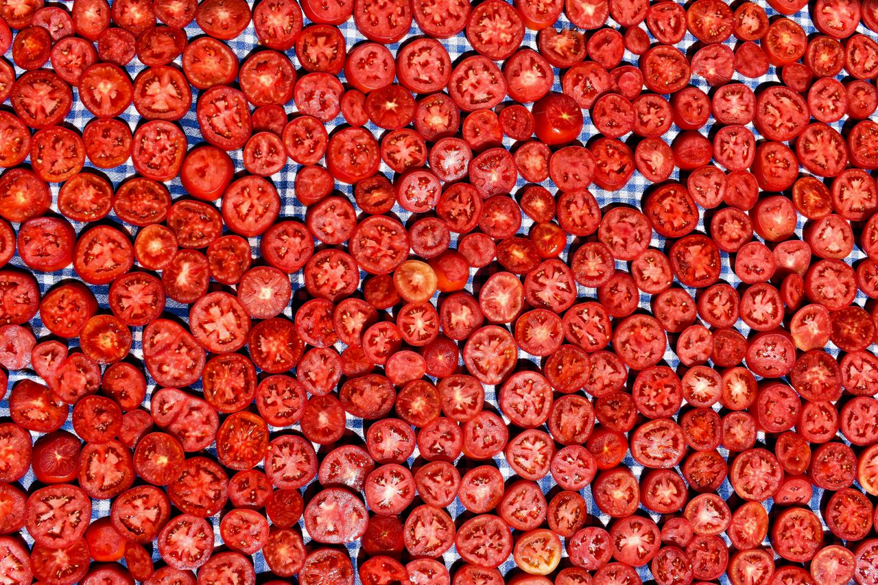 A vibrant top-down view of numerous fresh sliced tomatoes on a checkered background.
