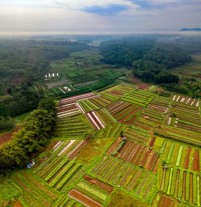 menu-07 Scenic aerial view showcasing the vibrant patchwork of farmland in Cisauk, Banten, Indonesia.