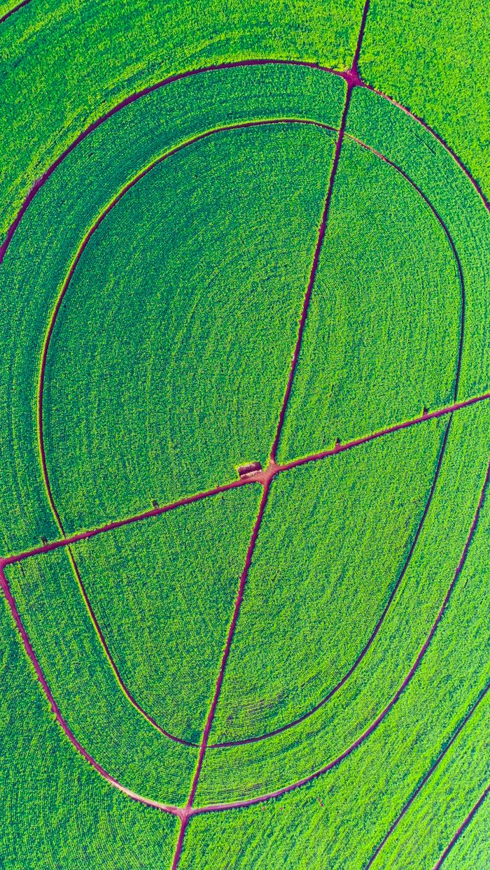 menu-11 Vibrant aerial photo showcasing green circular farm fields with visible paths.