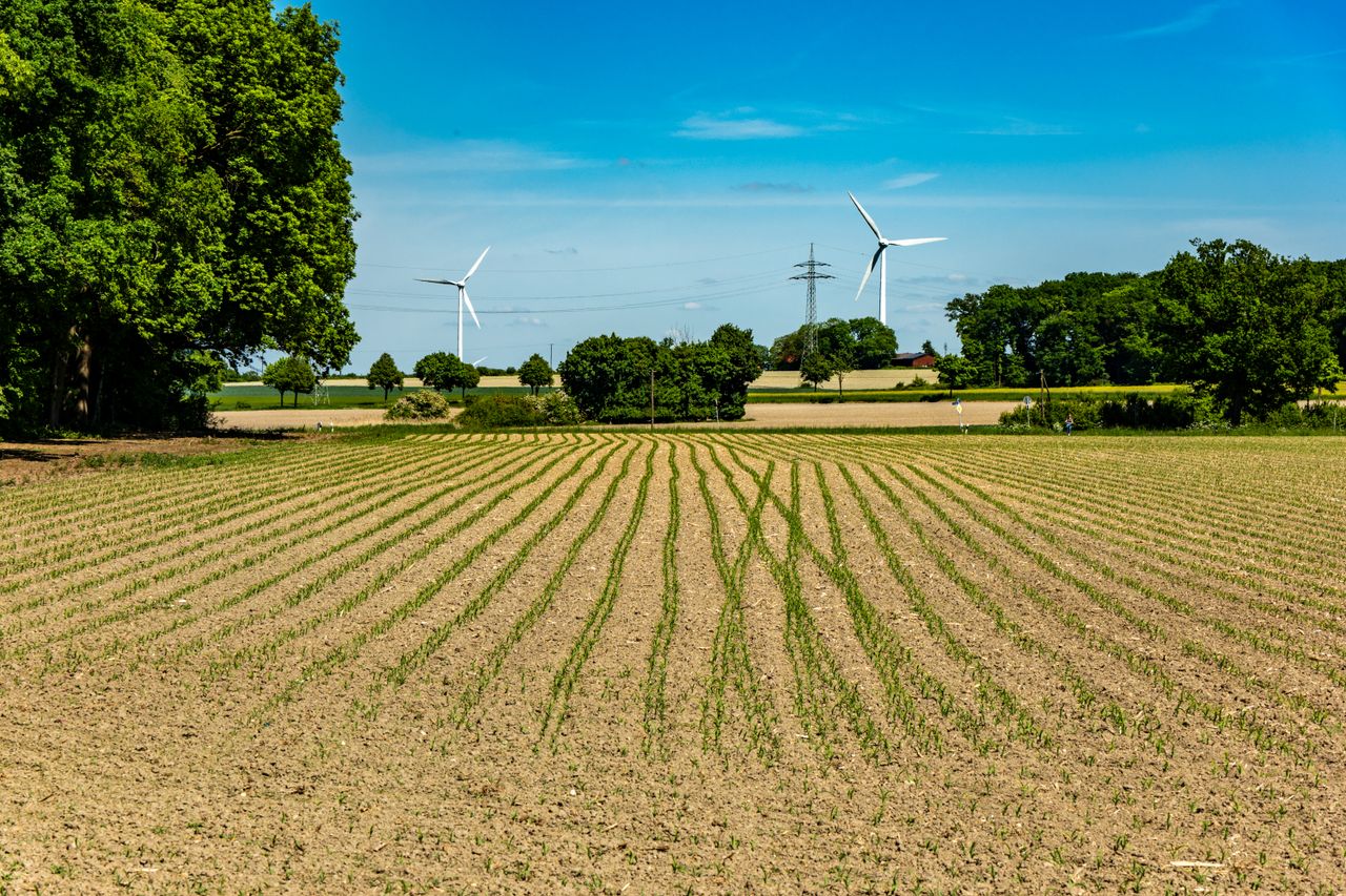 menu-06 Explore renewable energy with wind turbines in a vibrant rural landscape. Ideal for sustainability themes.