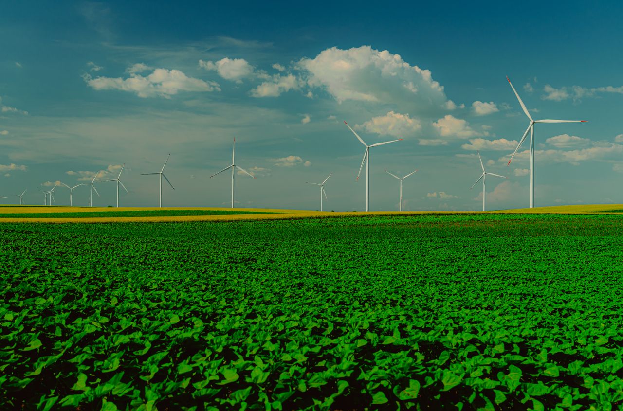 menu-16 Panoramic view of wind turbines in a lush green field with a clear blue sky.
